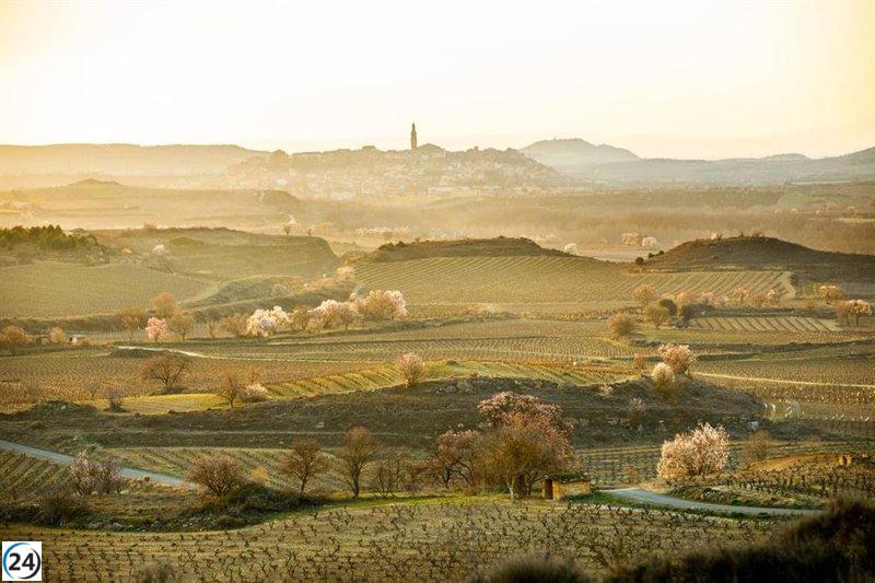El Consejo Regulador aplaude avances en la protección del paisaje de Rioja.