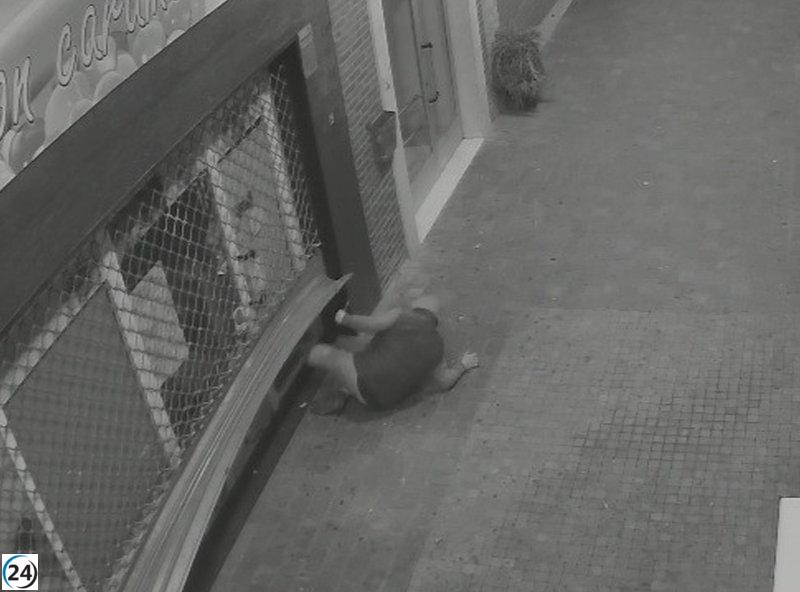 Atrapan al sospechoso del robo en comercio de Albelda de Iregua