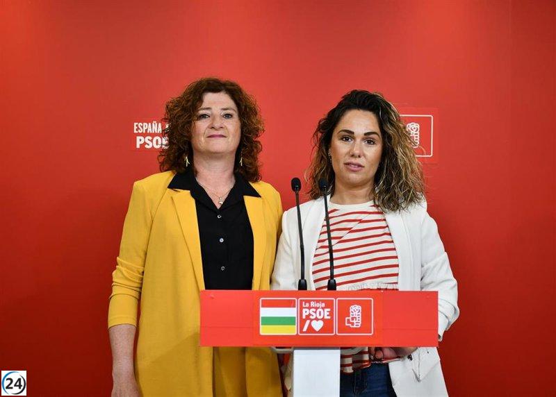 Socialistas critican al gobierno por no implementar Ley contra violencia de género.
