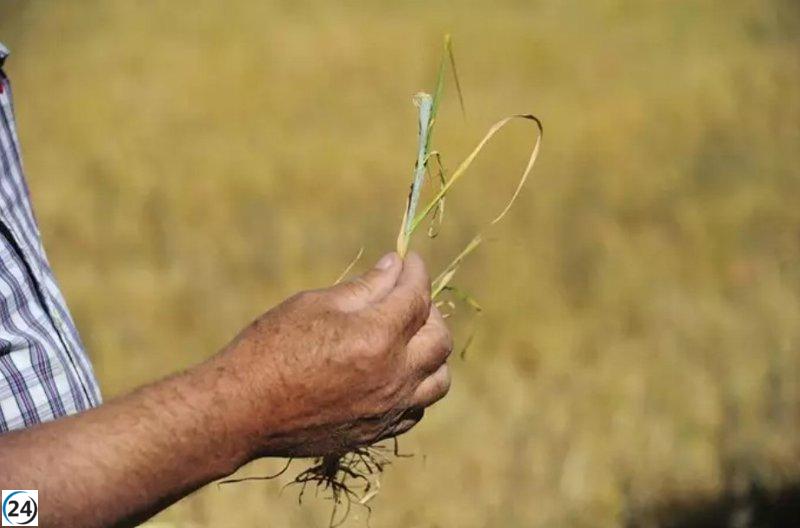 Gobierno destina 2,5 millones de euros para combatir sequía.