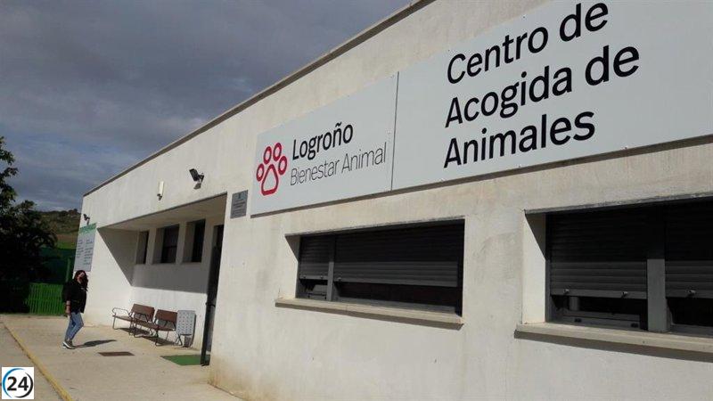El Ayuntamiento sanciona nuevamente a la empresa responsable del Centro de Acogida de Animales.