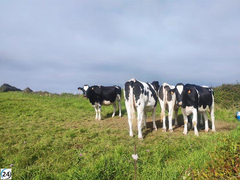 Dinero público asignado a combatir el cambio climático en municipios y sector agrícola.