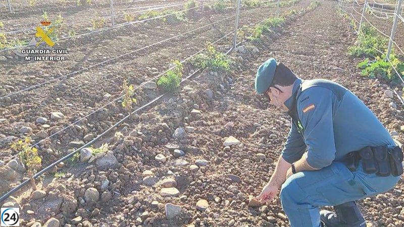 Aldeanueva de Ebro: vecino bajo investigación por vandalismo en yacimiento arqueológico 'La Torrecilla'.