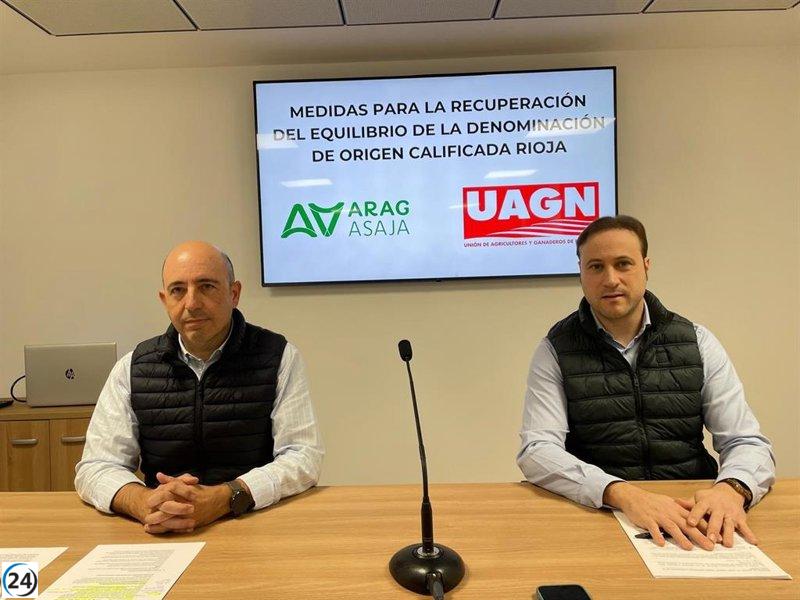 ARAG-ASAJA y UAGN lanzan 25 medidas para revitalizar la rentabilidad de los viticultores de Rioja.
