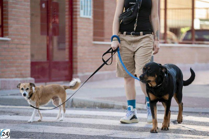 Logroño intensificará en febrero la vigilancia de la normativa sobre animales.
