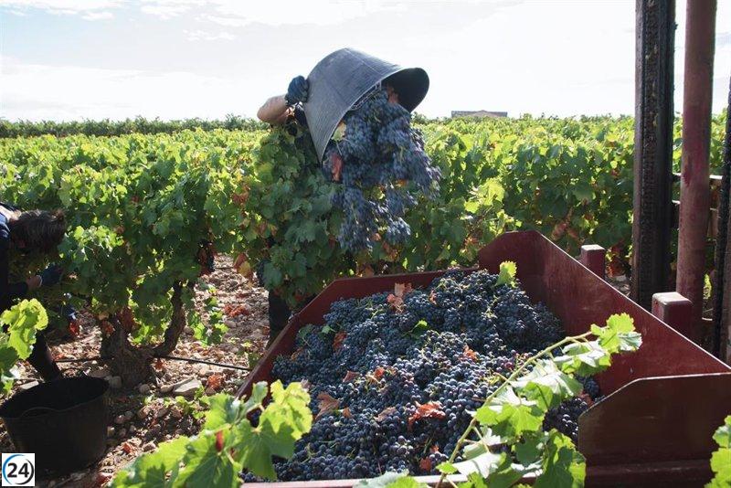 El PP buscará en el Parlamento que el Gobierno proteja el vino de aranceles en la UE.