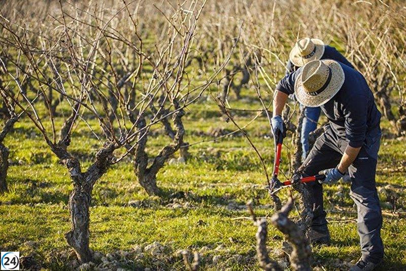 Incentivos fiscales para el campo beneficiarán a 1.764 profesionales con un ahorro de casi 5 millones.