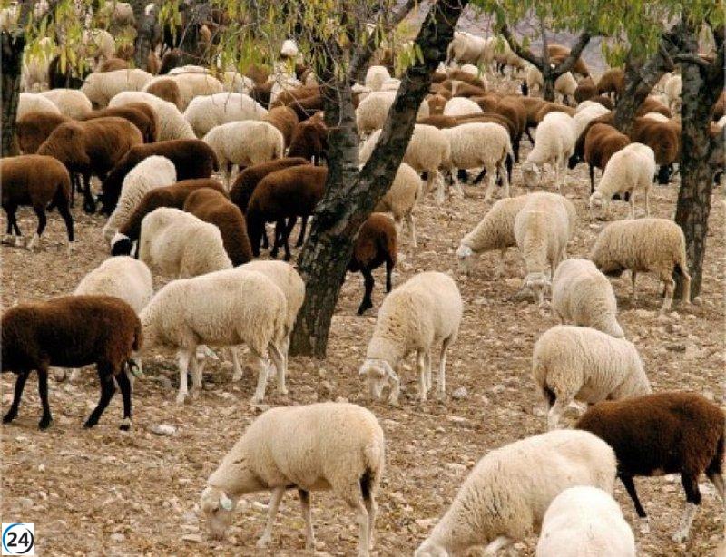 Se lanzan ayudas de 27.000 euros para promover las razas autóctonas de España.