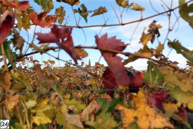 Capellán destina 4,5 millones para apoyar la cosecha en verde.