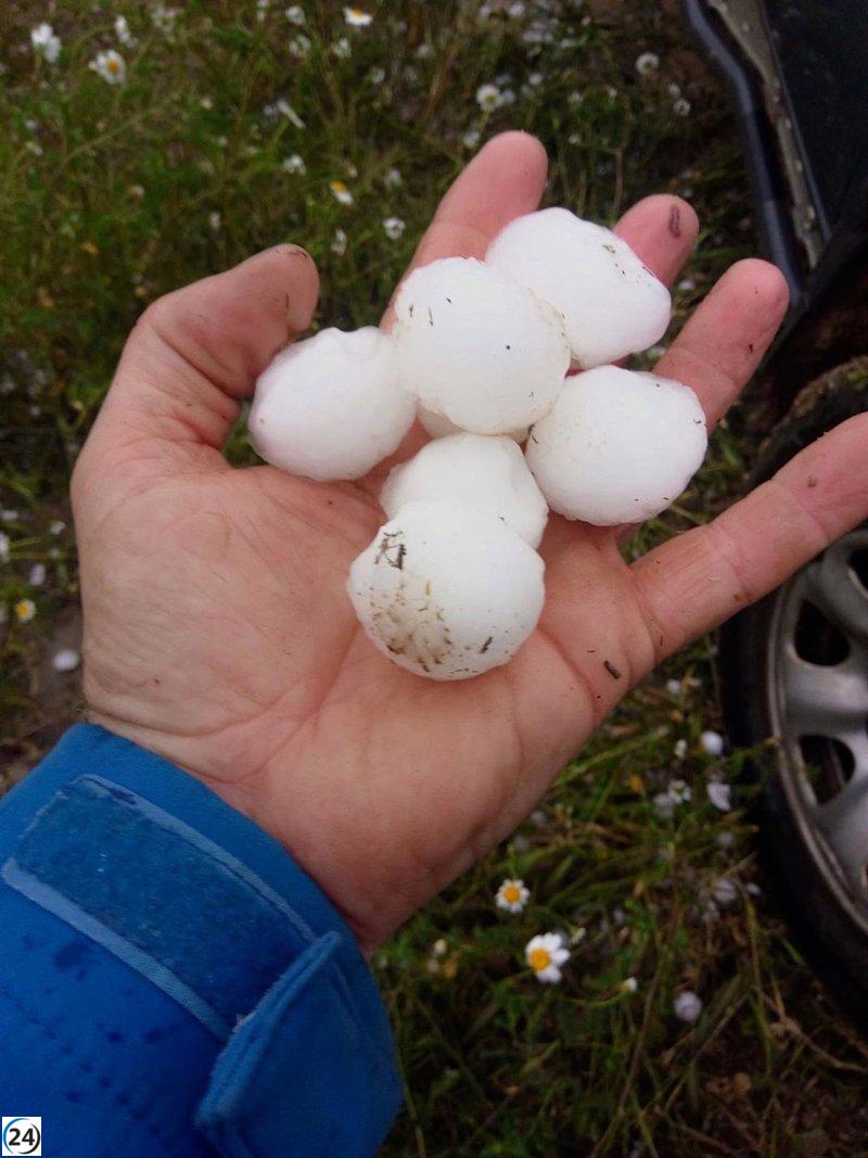 Manzanos revela que en las áreas afectadas por granizadas, las pérdidas alcanzan más del 80%.