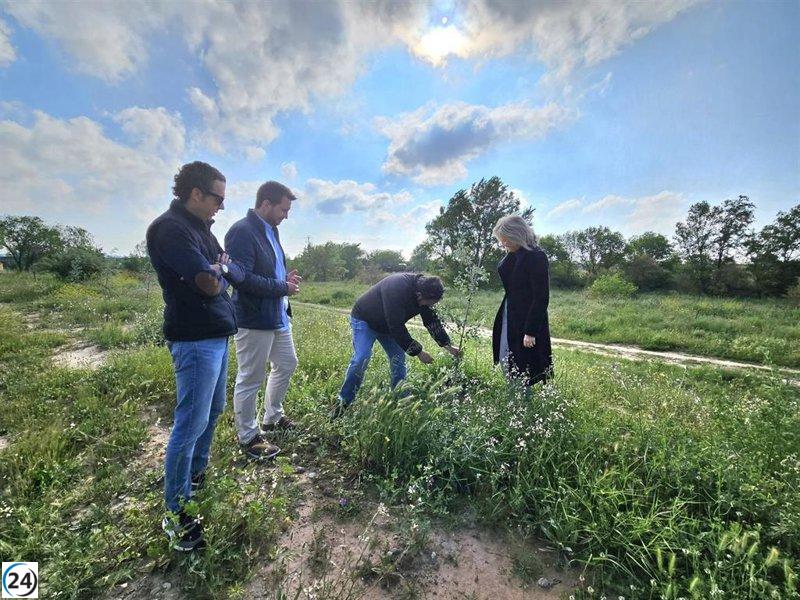 Concluyen las obras de restauración del último segmento del río Cidacos en Calahorra.