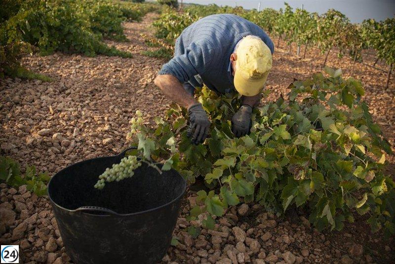 La Rioja confía en mantener las ayudas para la cosecha en verde a pesar de las solicitudes del próximo año.