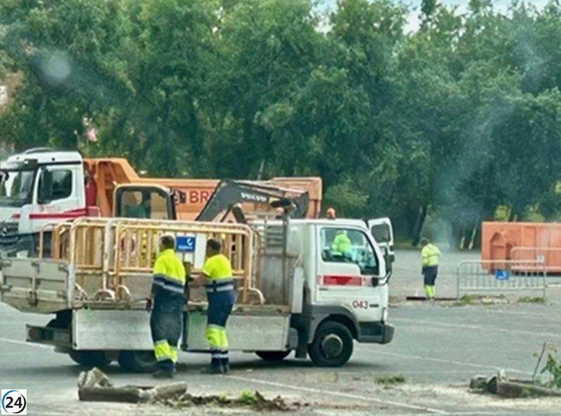 Ecologistas denuncian que la alcaldesa de Calahorra carece de permisos para talar 33 acacias.