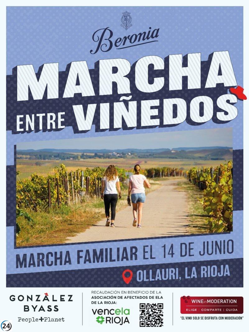 Este sábado, Beronia llevará a cabo su inaugural 'Marcha entre Viñedos' a beneficio de VencELA Rioja.
