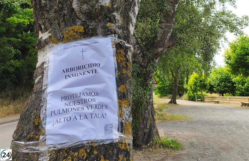 Ecologistas en Acción desaprueba la negativa del Gobierno de La Rioja a proteger los álamos 