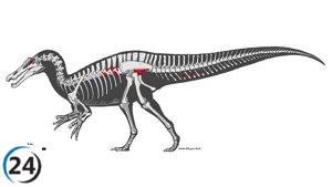 Descubiertos los restos del más grande dinosaurio carnívoro de la península ibérica del Cretácico Inferior.