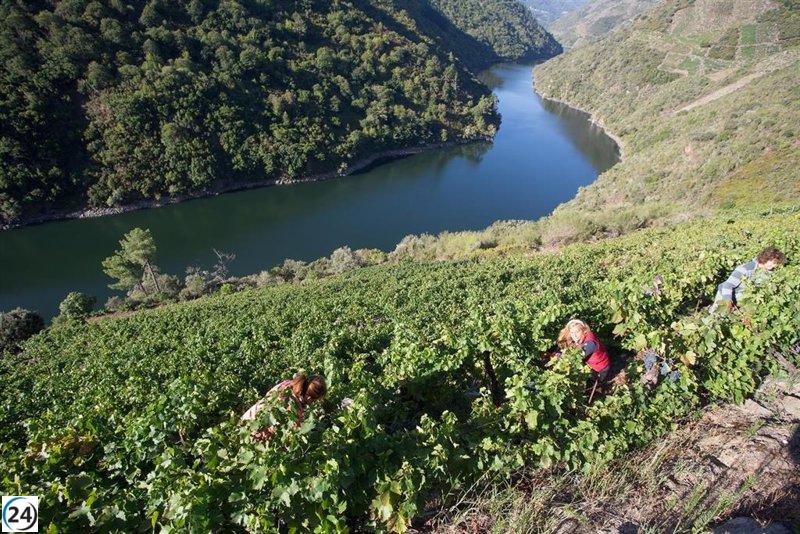 Gobierno y comunidades autónomas destinan 195 millones a 16 iniciativas en la industria del vino, con 9,8 millones para La Rioja.