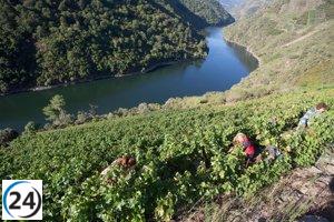 Gobierno y comunidades autónomas destinan 195 millones a 16 iniciativas en la industria del vino, con 9,8 millones para La Rioja.