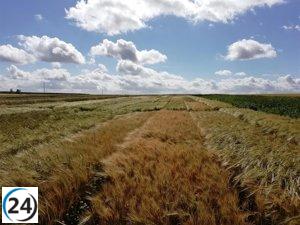 UAGR-COAG celebra la decisión de la UE de reducir las importaciones agrícolas desde Ucrania.