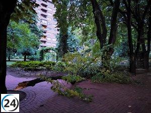 SOS Rioja registra 102 emergencias por la tormenta, mayormente en Logroño.