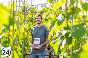 Acolchados orgánicos en viñedos: una solución sostenible ante el cambio climático