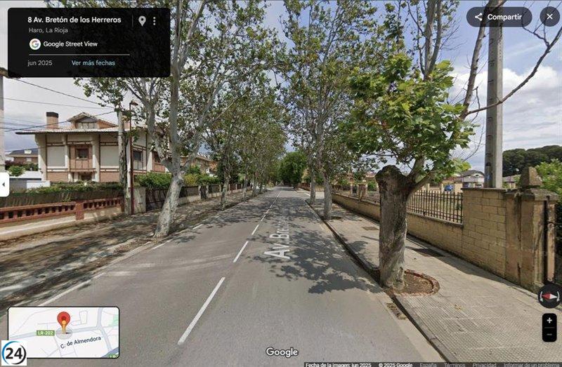 El Partido Animalista pide al Ayuntamiento de Haro frenar la tala de álamos viejos.