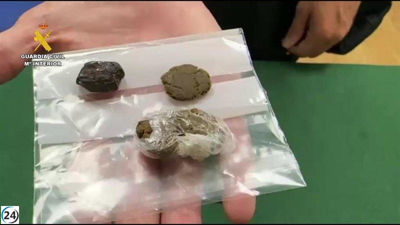 La Guardia Civil sugiere sancionar a 23 individuos tras incidentes en las fiestas de Murillo.