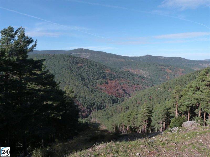 Ecologistas en Acción denuncia al Defensor del Pueblo la posible inconstitucionalidad de la reforma de la Ley de Biodiversidad.