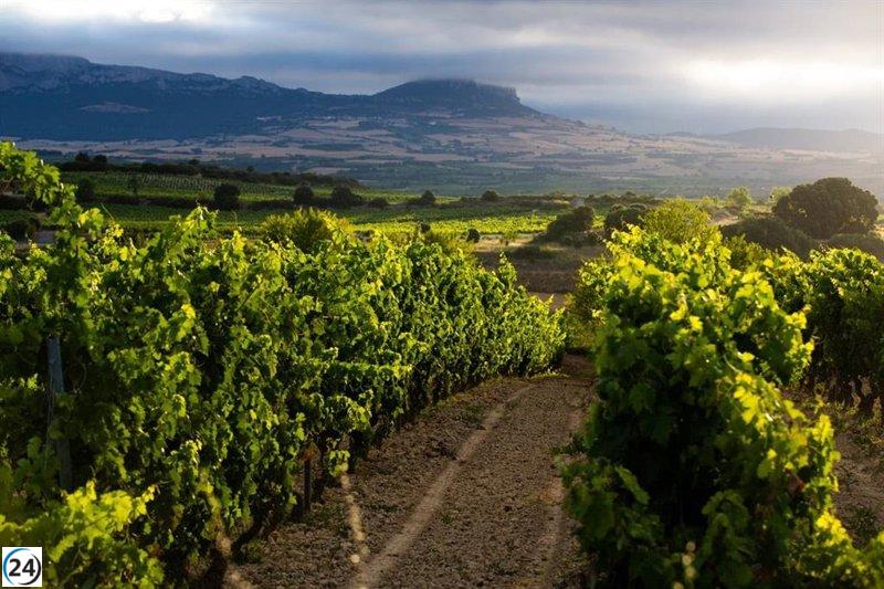 Se abre el plazo para solicitar la revisión de rendimientos en Rioja a partir del 11 de agosto de 2025.