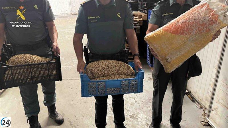La Guardia Civil captura 430 kilos de caracoles silvestres destinados al mercado negro en Albacete.