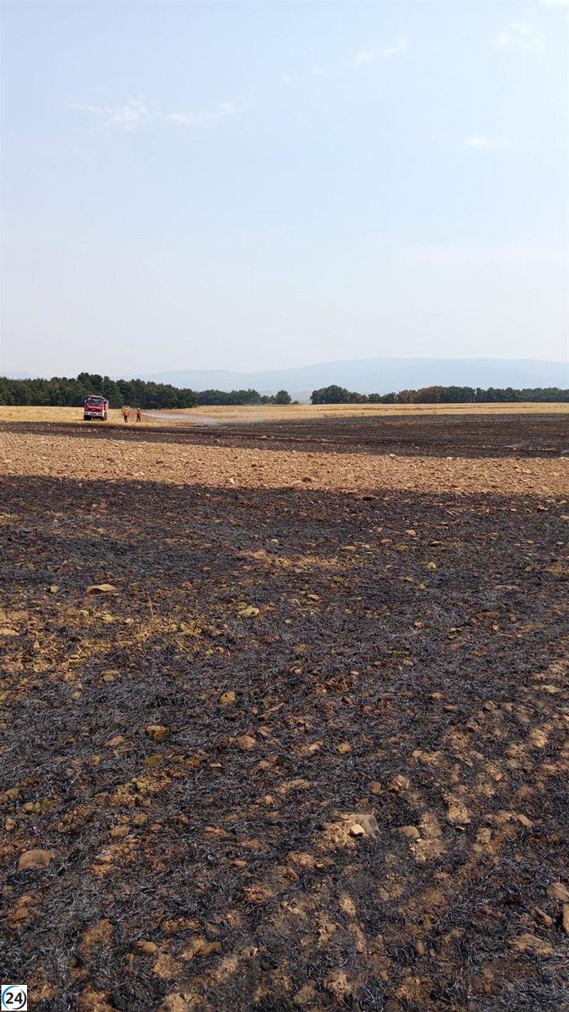 Bomberos de Nájera sofocan incendio en la región de Cañas.