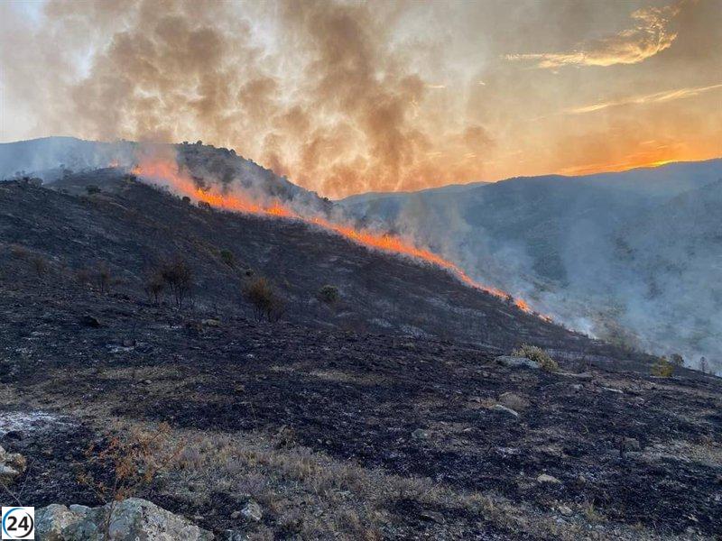 Gobierno declara emergencia en todas las CCAA por incendios, salvo en el País Vasco.