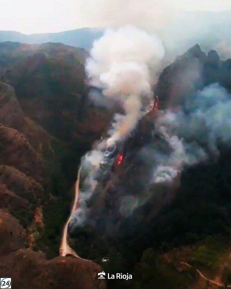 Incendios devastan 123,9 hectáreas en La Rioja en lo que va del año, con 107,3 afectadas solo en agosto.