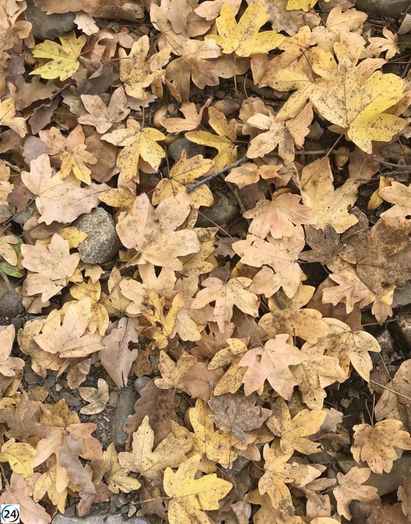 San Mateo trae un otoño inusualmente cálido con temperaturas de hasta 24 grados.