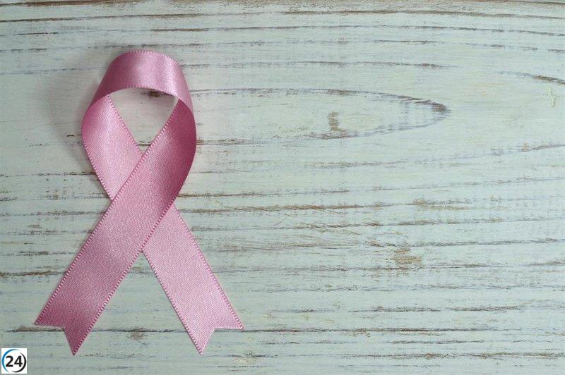 El PSOE de La Rioja aboga por fortalecer la sanidad pública en el Día Mundial contra el Cáncer de Mama.