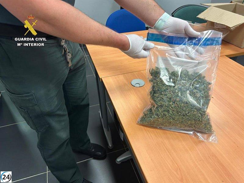 Arresto de un hombre de 40 años por violencia familiar y cultivo de cannabis.