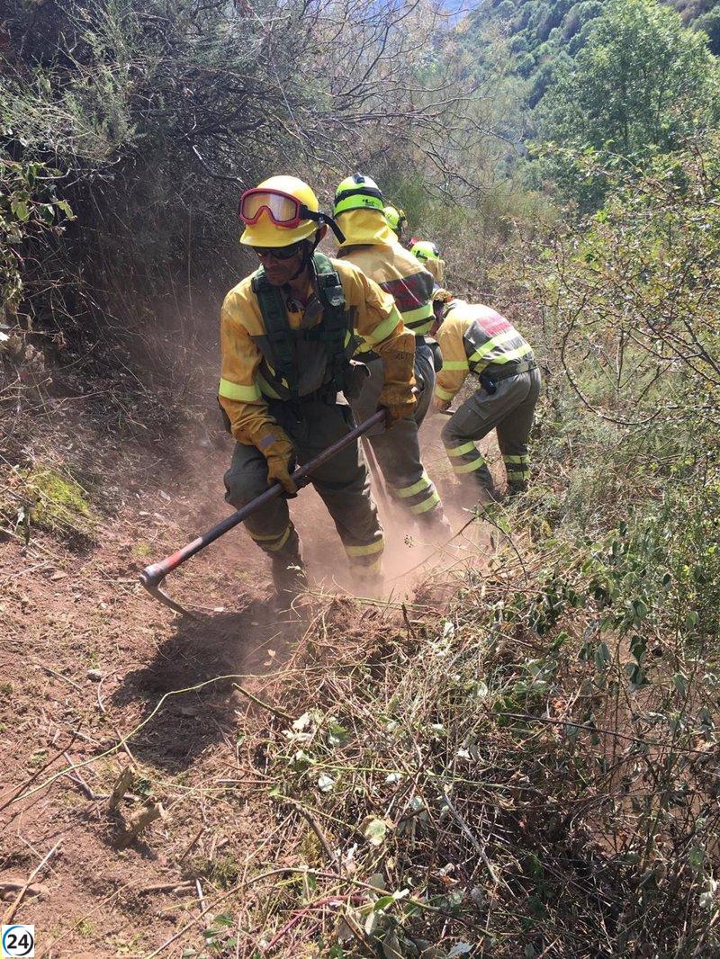 Intervención de unidades terrestres y aéreas en incendio forestal cercano a Murillo de Río Leza.