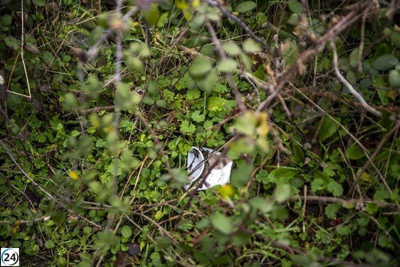 Voluntarios analizan desechos en tres áreas naturales de La Rioja.
