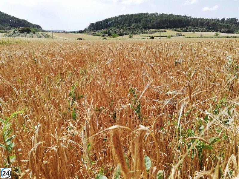 'Por La Rioja' se opone al pacto 'Mercosur' por su impacto negativo en el campo y la agricultura de la región.