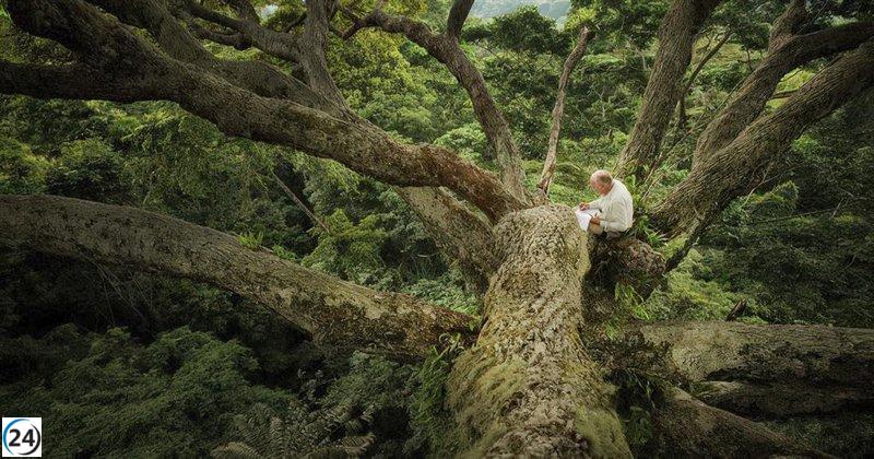 Logroño rinde tributo al botánico Francis Hallé en la Casa de la Imagen.