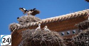 Festival de Dos Días para Celebrar el Día Mundial de los Humedales y Recibir a las Cigüeñas.
