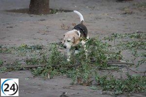 Terminó el alerta de vientos en La Rioja tras reportar 23 incidentes, incluidos árboles y antenas caídas.