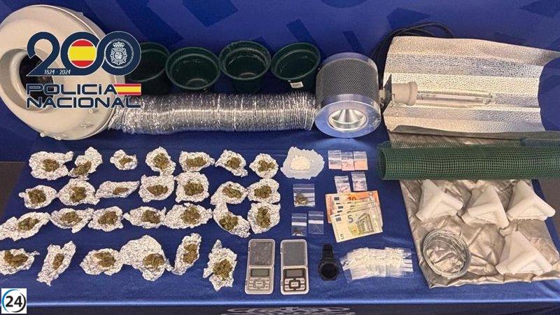 Detenido un hombre de 30 años y desmantelada una red de narcotráfico en Logroño.