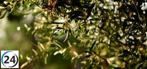Dos aceites de La Rioja ganan medalla de Plata en EcoTRAMA.