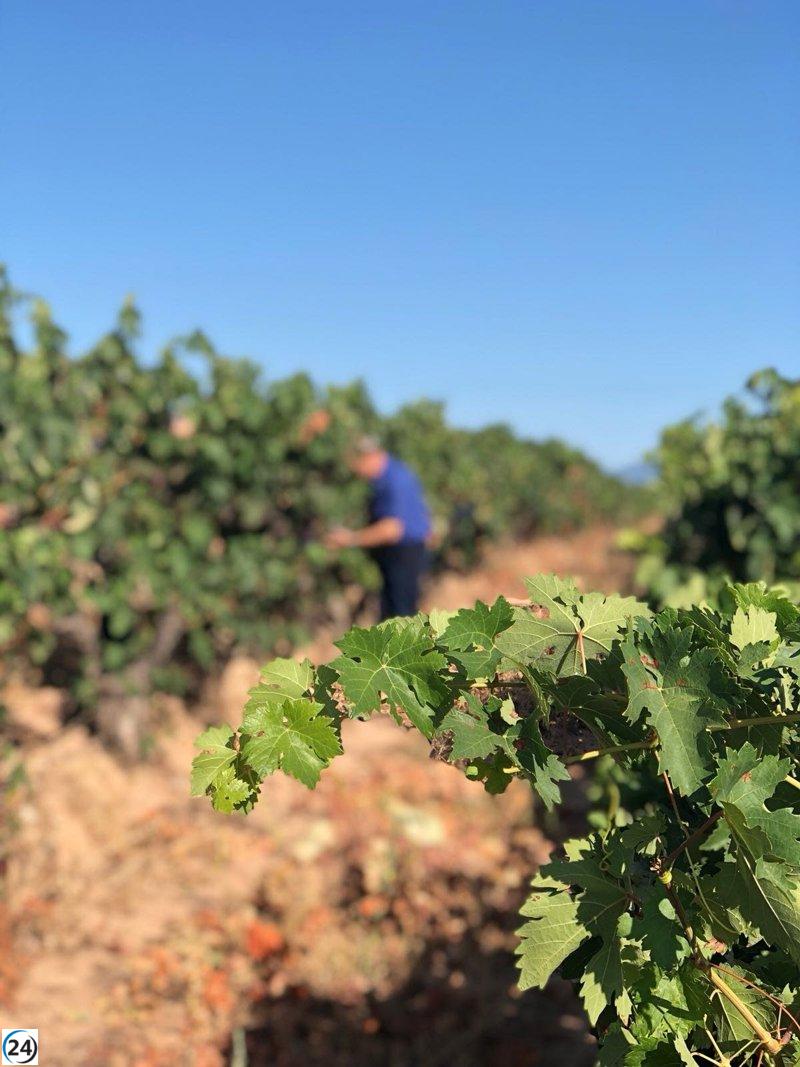 Consejo de Rioja pide a Administraciones tratamiento igualitario.