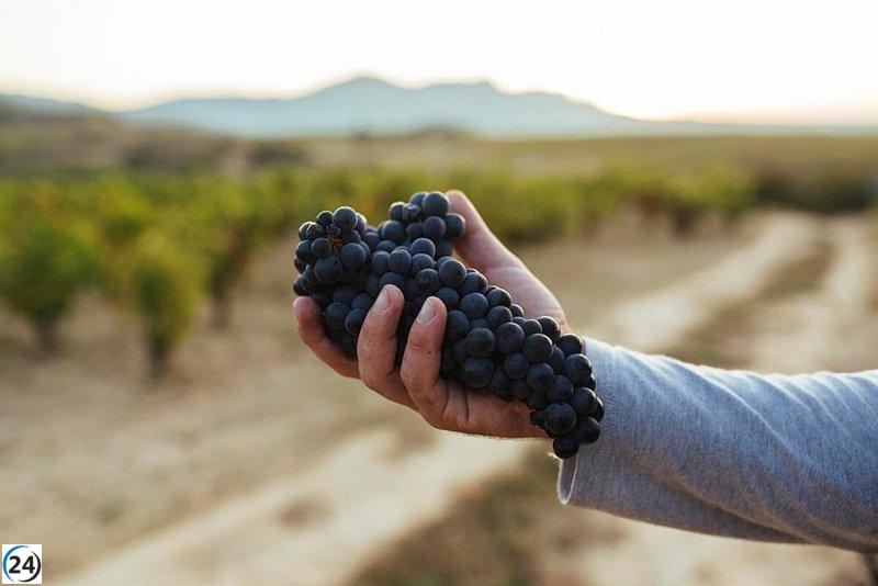Rioja declara cosecha del 2022 como 