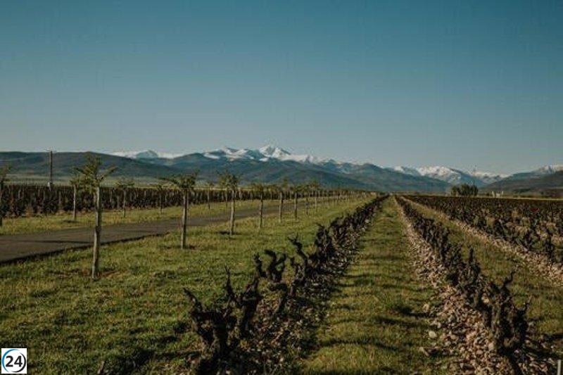 Rioja ofrece un programa especial para impresionar a delegación internacional de World's Best Vineyards