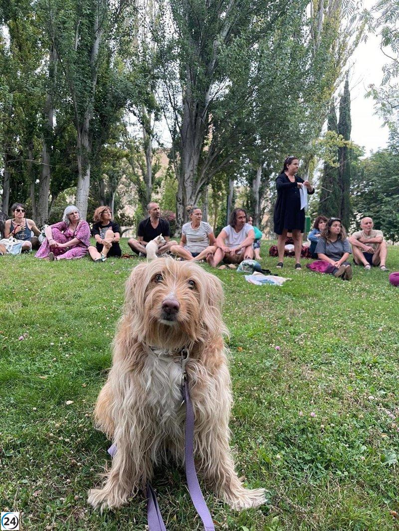 Ong conservadora inicia recogida de firmas contra derogación de Ley de Protección Animal