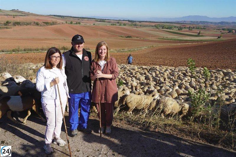 Pastor riojano promueve la recuperación de la trashumancia en busca de pastos elevados para su ganado