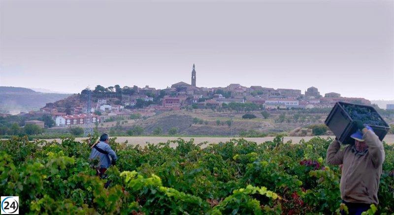 El documental 'Mil vinos en Rioja' cautivará en la Semana Internacional de Cine de Valladolid